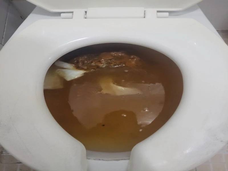 마곡 변기막힘 작업사례 28