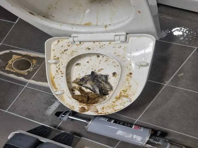 마곡 변기막힘 작업사례 6