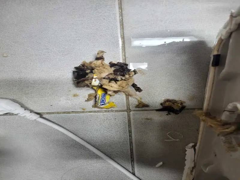 마곡 변기 이물질 제거 사례 4